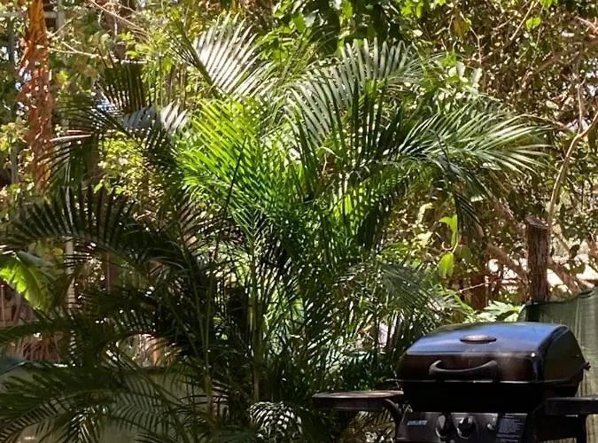 Сasa de vacaciones Casa Amarilla Avellanas